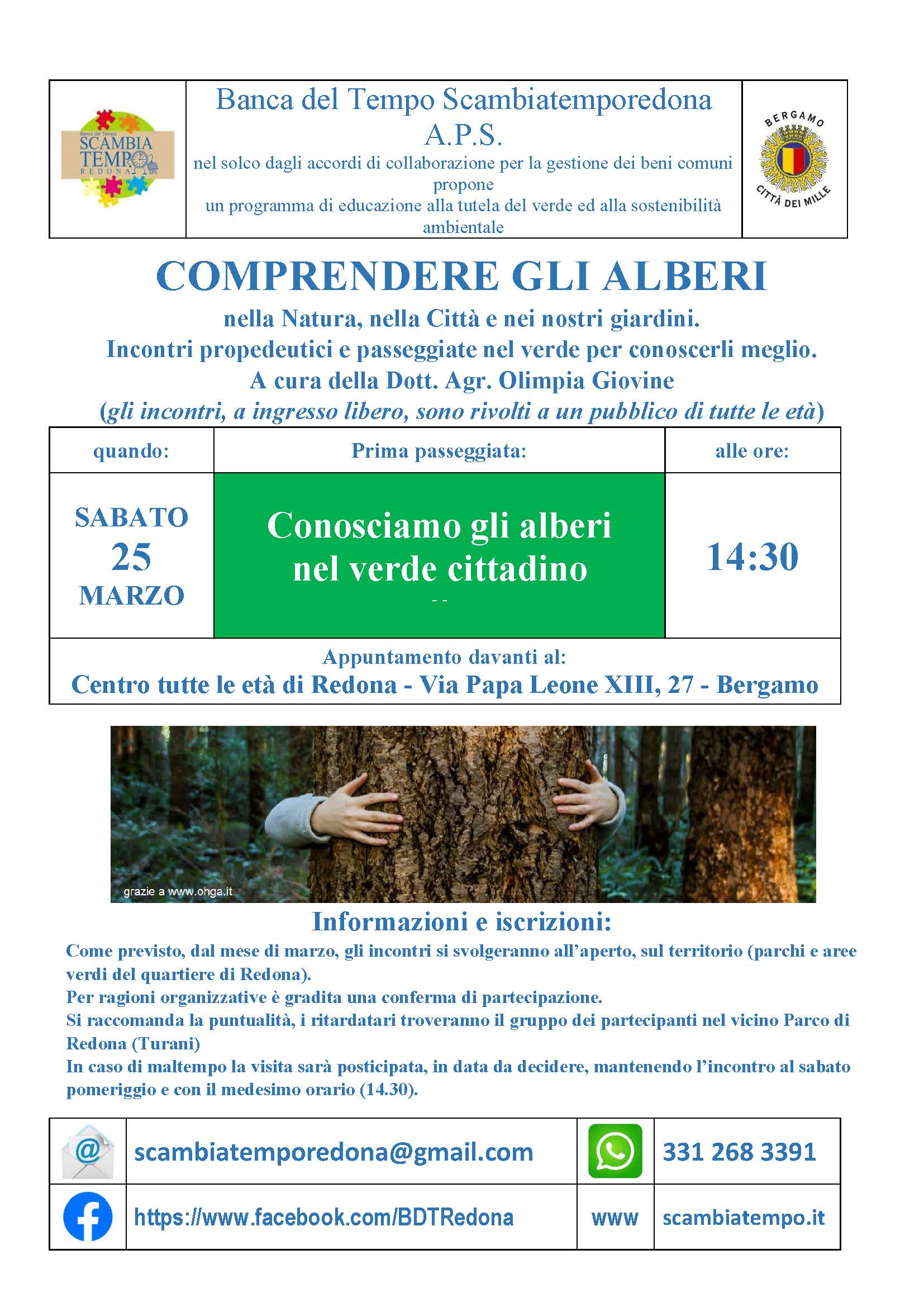 Comprendere-gli-alberi