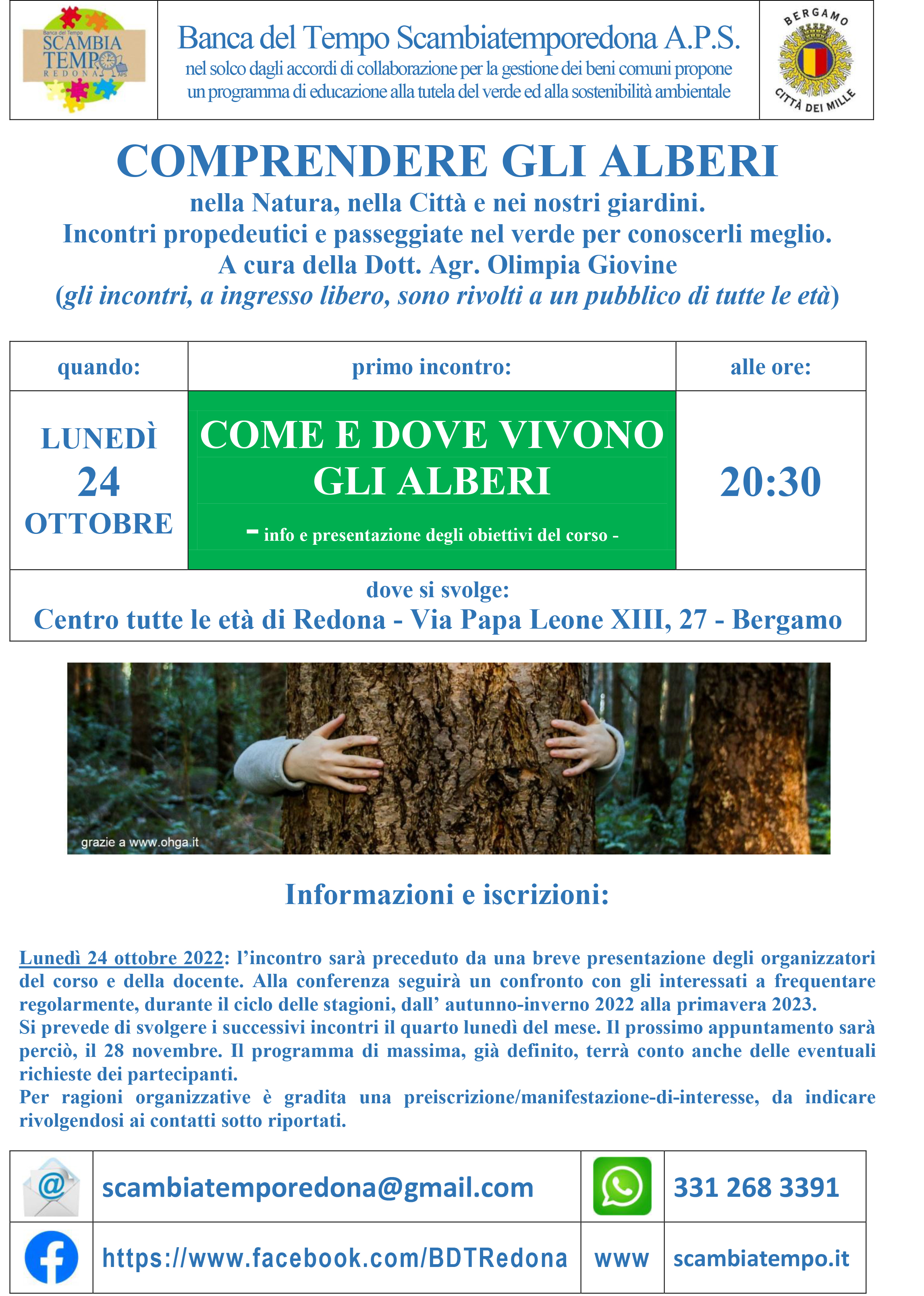 Comprendere-gli-alberi